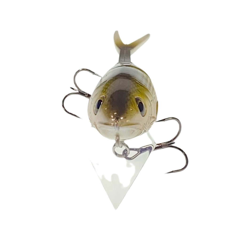 Swimbait Underground X Rago Baits D3 